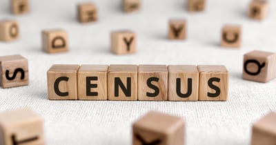 What Does Census Mean?