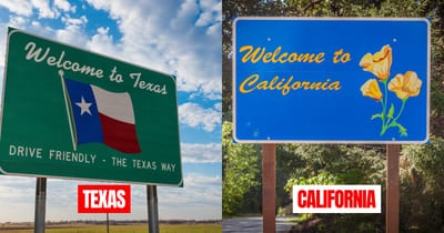 When Will Texas Surpass California in Population?