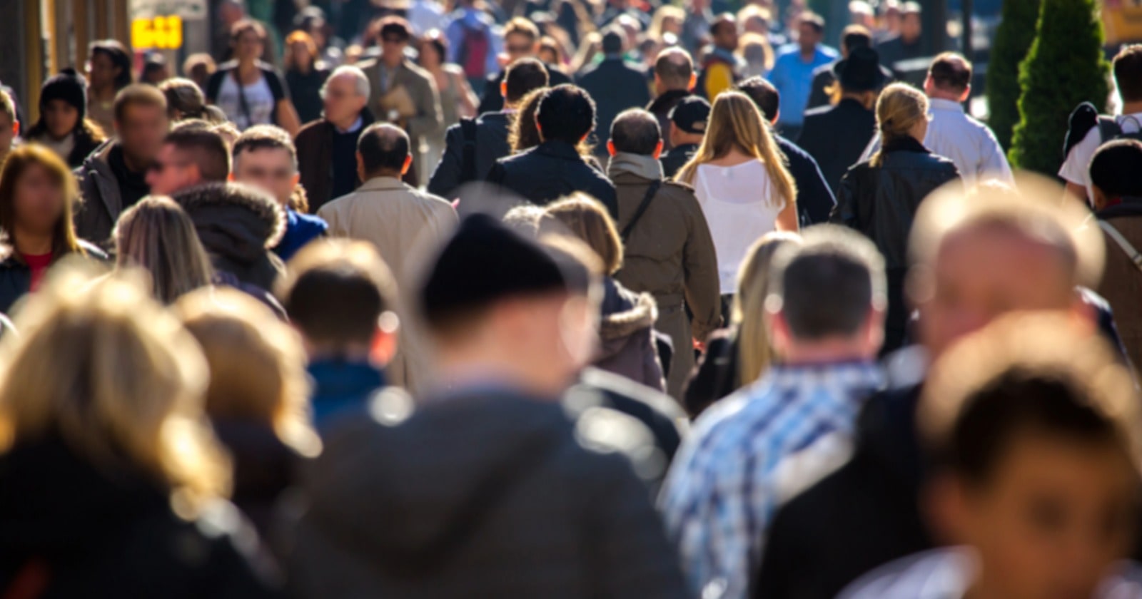 The Census Bureau Is Lining Up a $1 Billion Contract to Build the 2030 Count