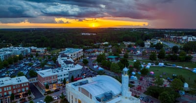 Gwinnett County Went From 91% White to 30%: The Most Diverse Counties in America