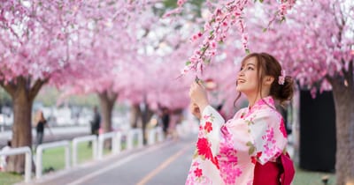 Where Do the Most Japanese Americans Live?