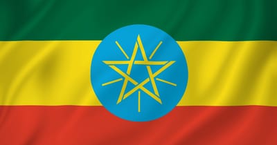 Where Do the Most Ethiopian Americans Live?